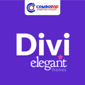 Divi Theme
