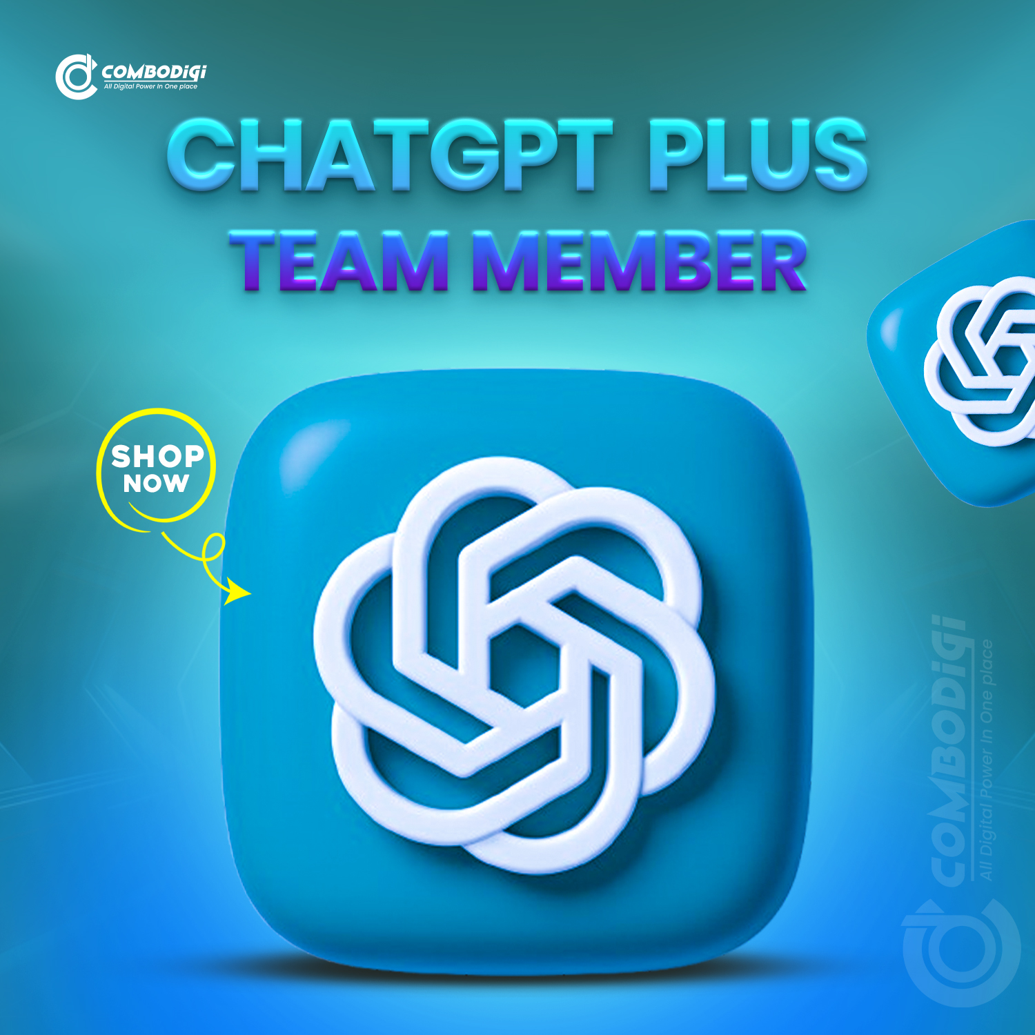 ChatGPT Plus Team Member