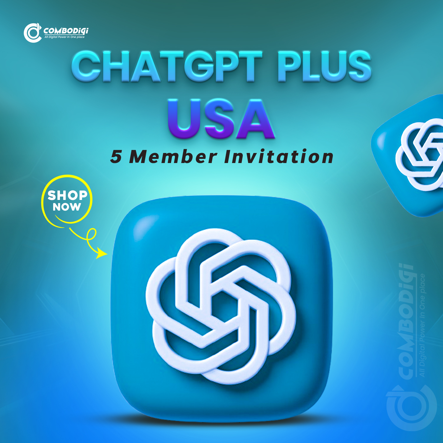 ChatGPT Plus USA